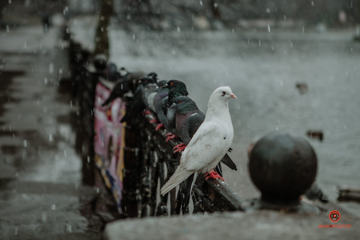 Объявили штормовое предупреждение Объявили штормовое предупреждение