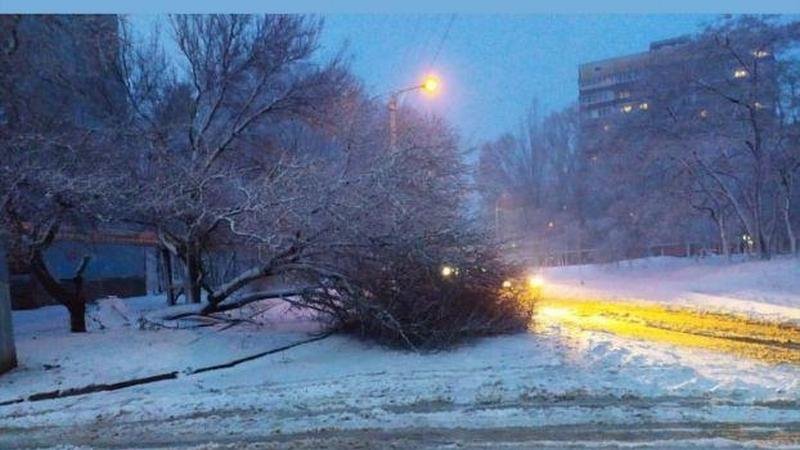 Днепр накрыла непогода: что происходит в городе и области во время снегопада 1