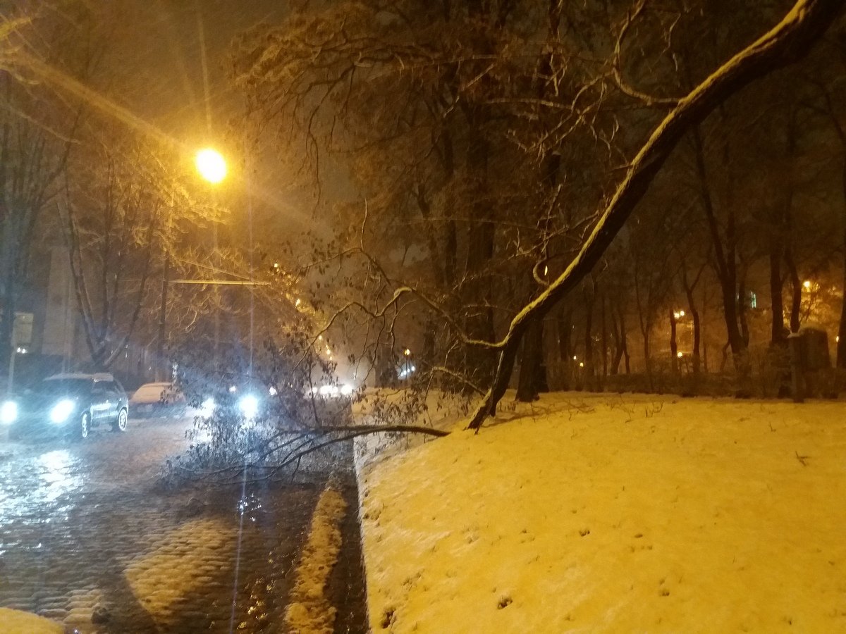 Днепр накрыла непогода: что происходит в городе и области во время снегопада 3