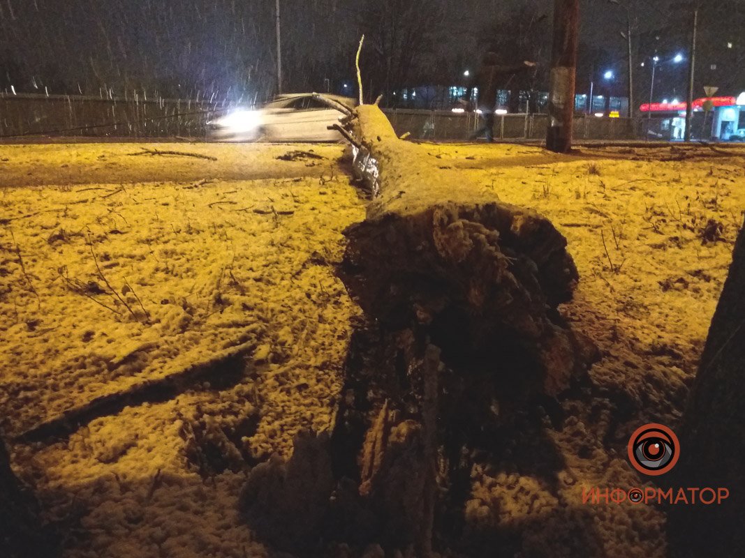 Днепр накрыла непогода: что происходит в городе и области во время снегопада 5