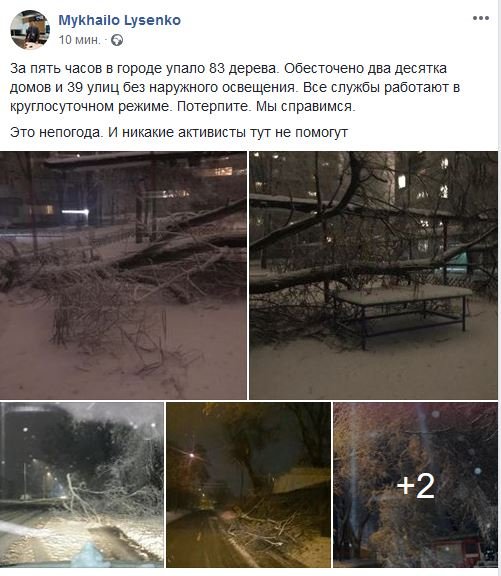 Узнай, сколько деревьев упало в Днепре во время непогоды 1