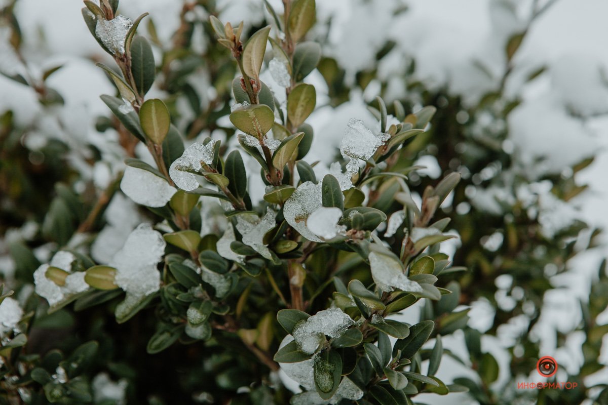 Умейте видеть прекрасное Умейте видеть прекрасное