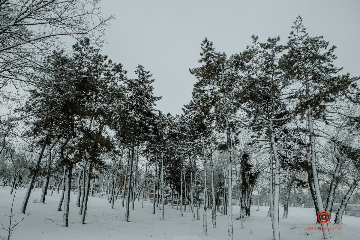 Выходите гулять Выходите гулять