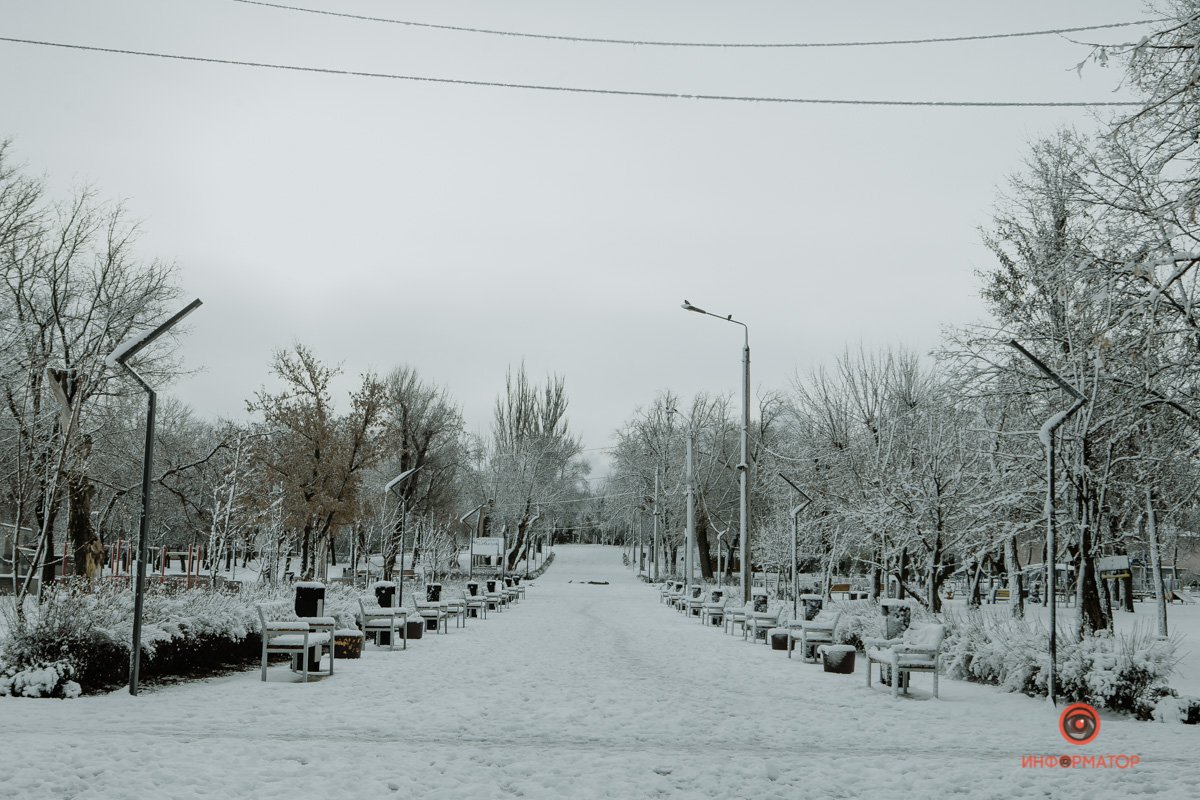 Вперед в парк Вперед в парк