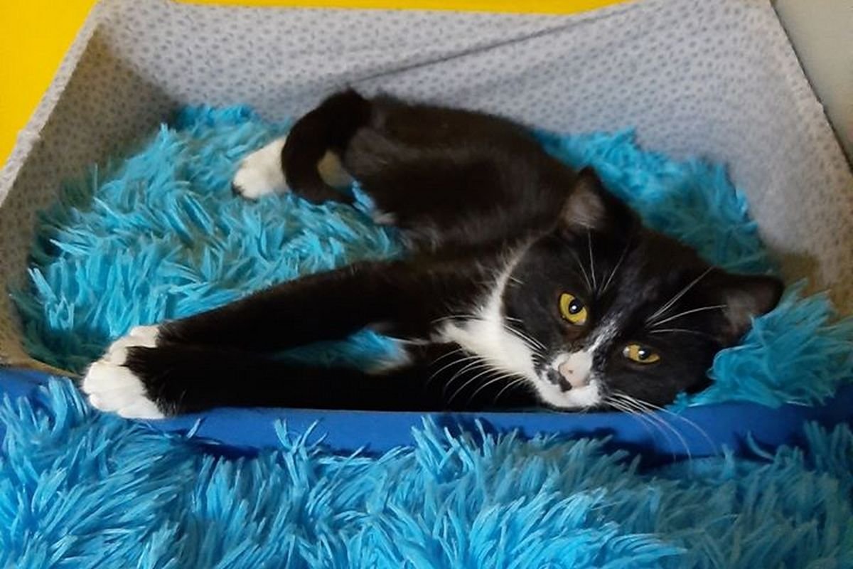 Концерт Бумбокс и МК по созданию валентинок: ТОП мероприятий, куда стоит пойти на выходных в Днепре 2