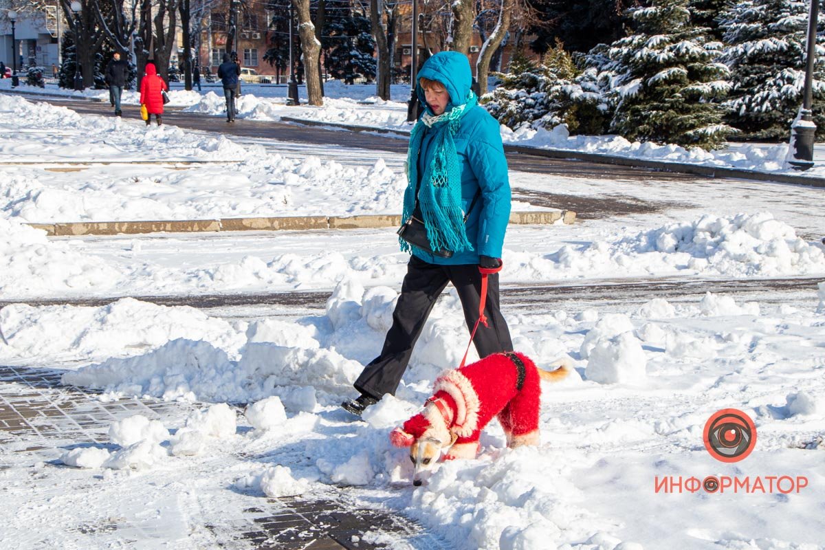 Главное - тепло одеть четырехлапого