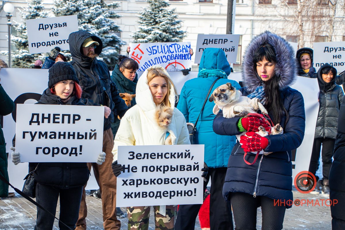 Участники пришли на митинг со своими любимцами 