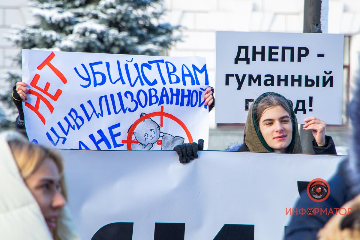 Собравшиеся держали плакаты с лозунгами