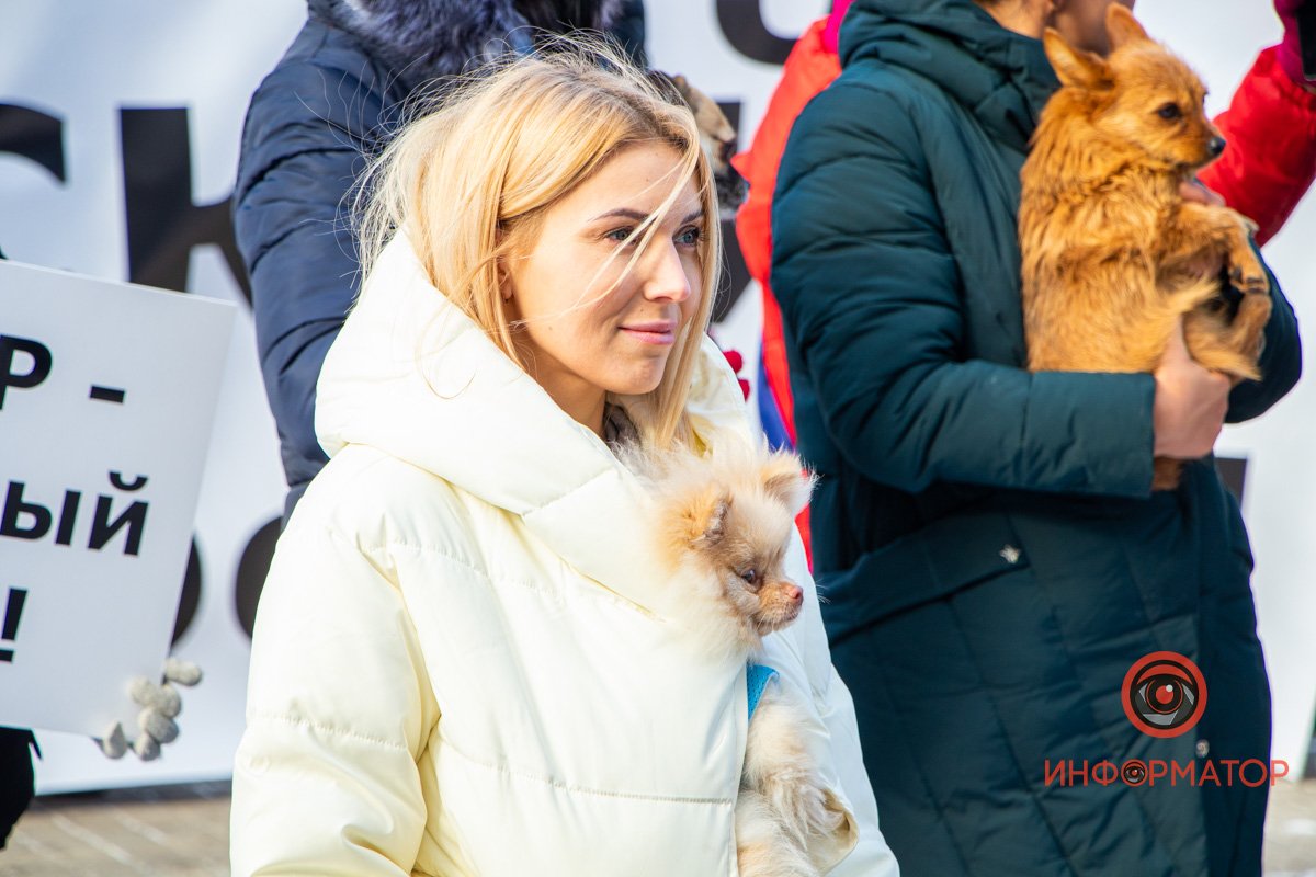 С хозяйкой тепло и не страшно