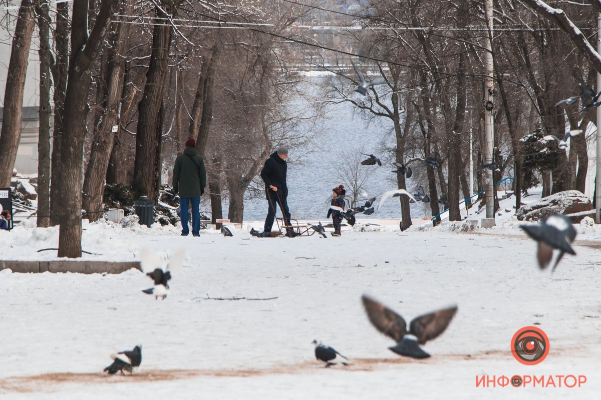 В субботу в парках города часто можно увидеть подобные умиляющие картины