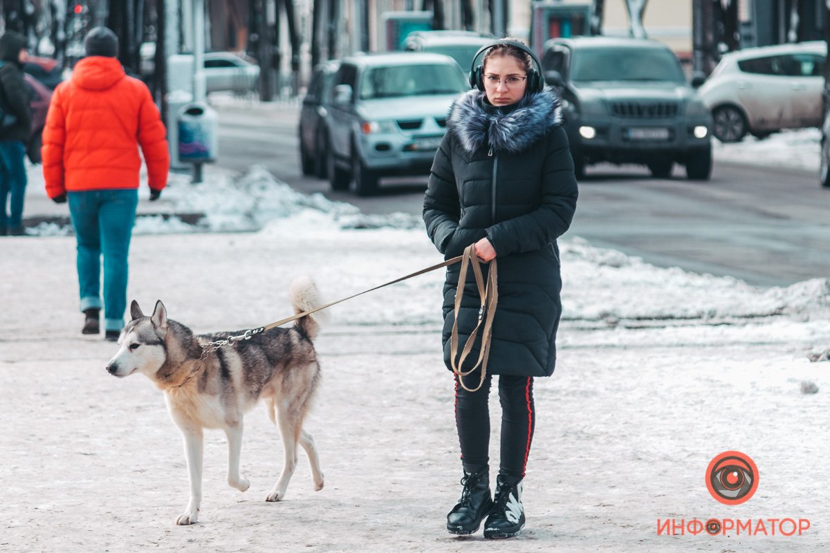 С собакой на прогулку - при любой погоде