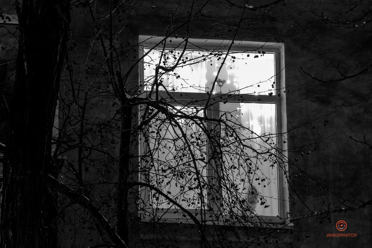 Любопытный котик