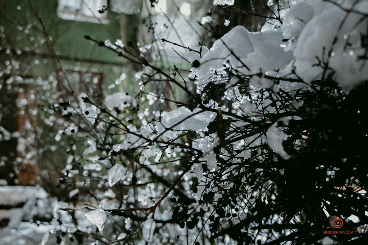 Зима опустилась на Днепр