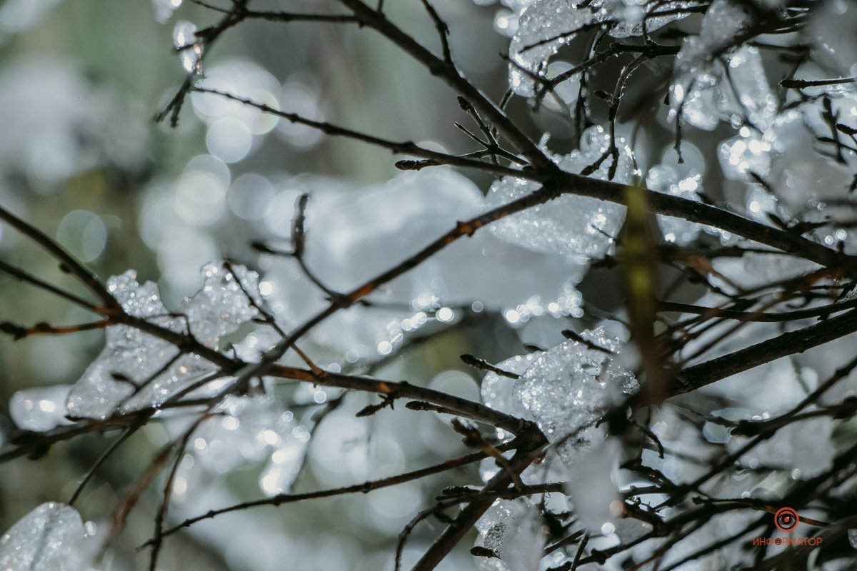 Такой прозрачный