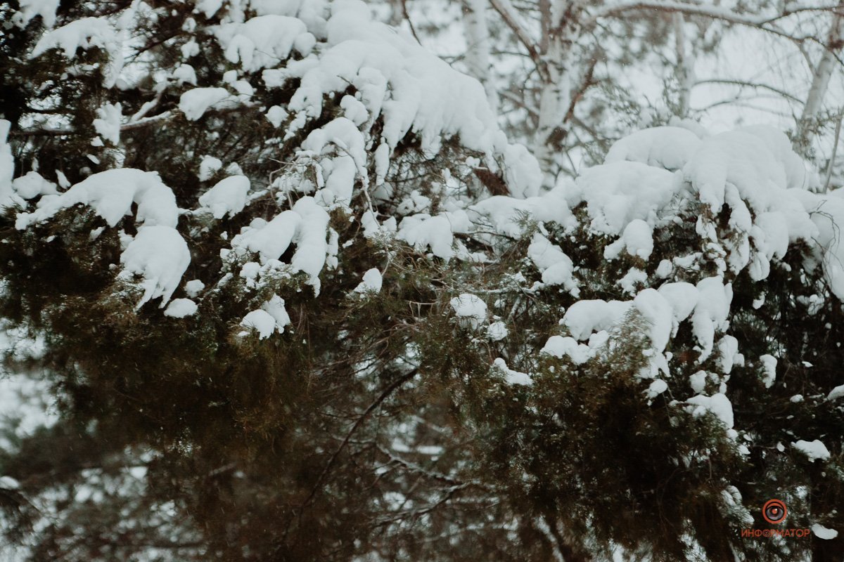Хочется искренне радоваться снегу, но, пожалуй, не сегодня Хочется искренне радоваться снегу, но, пожалуй, не сегодня