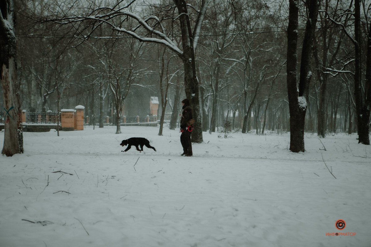 Песель получает куда больше удовольствия от погоды, в отличие от хозяина Песель получает куда больше удовольствия от погоды, в отличие от хозяина