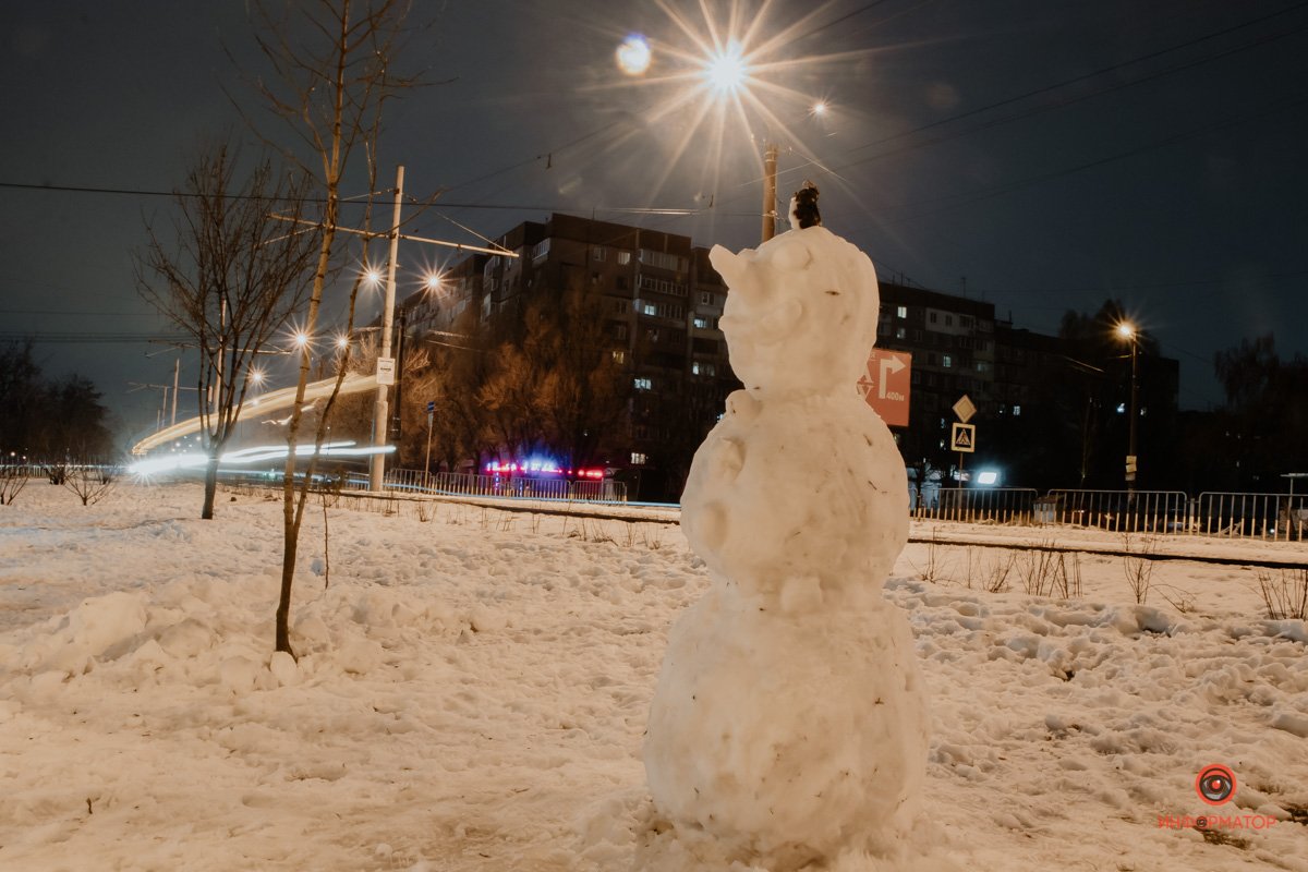 Снежный житель района Снежный житель района
