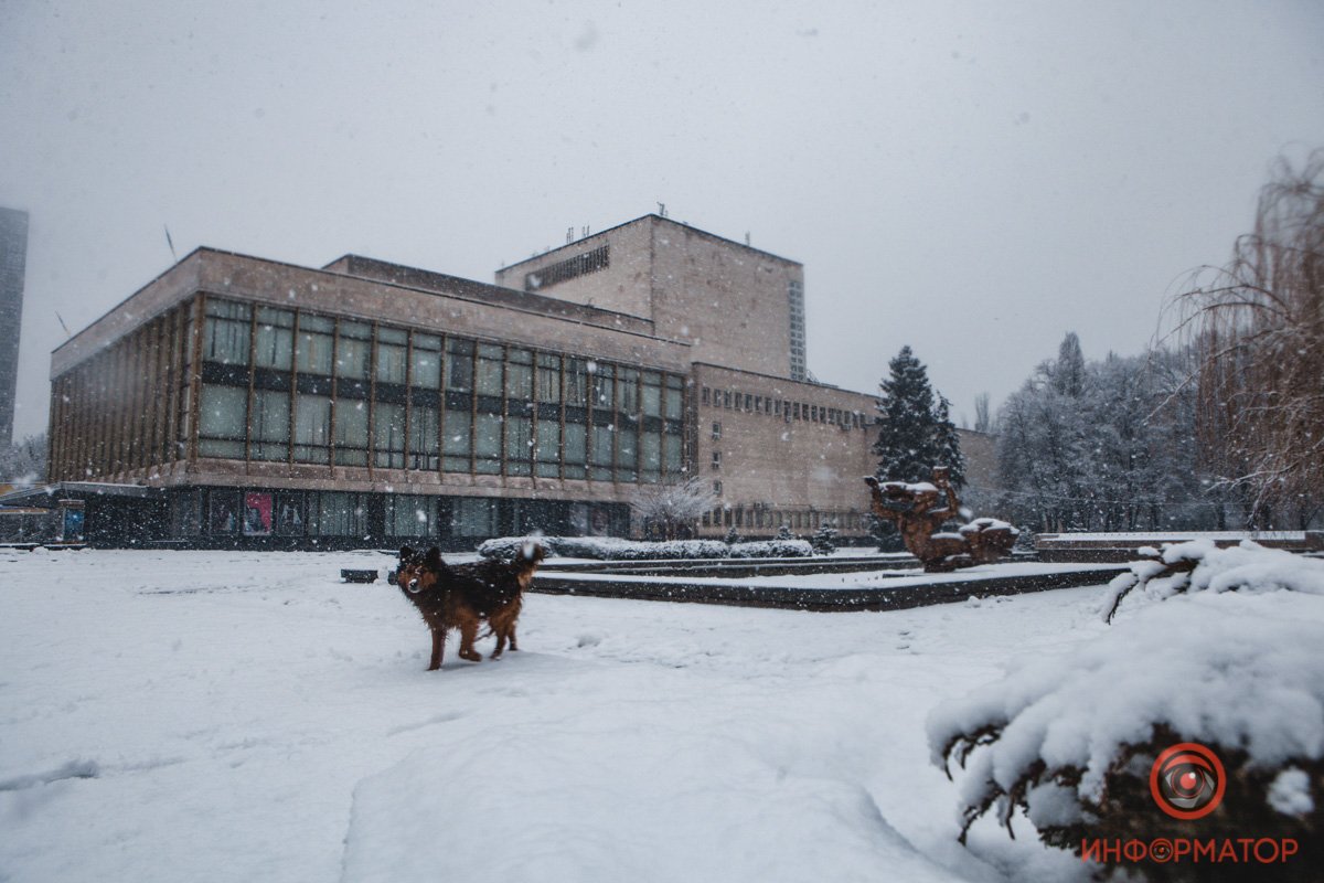 Вот, кто искренне рад такой погоде Вот, кто искренне рад такой погоде