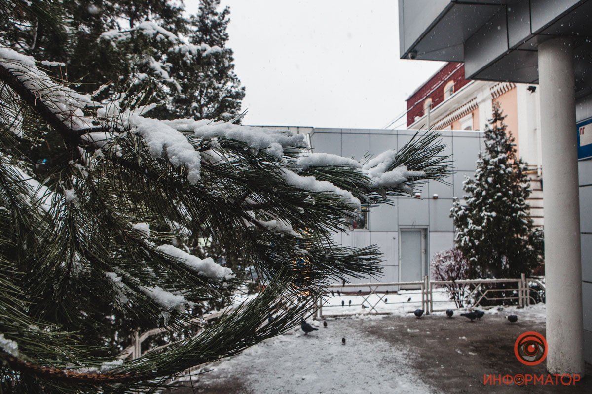 Видимо, так погода извиняется за бесснежный Новый год Видимо, так погода извиняется за бесснежный Новый год