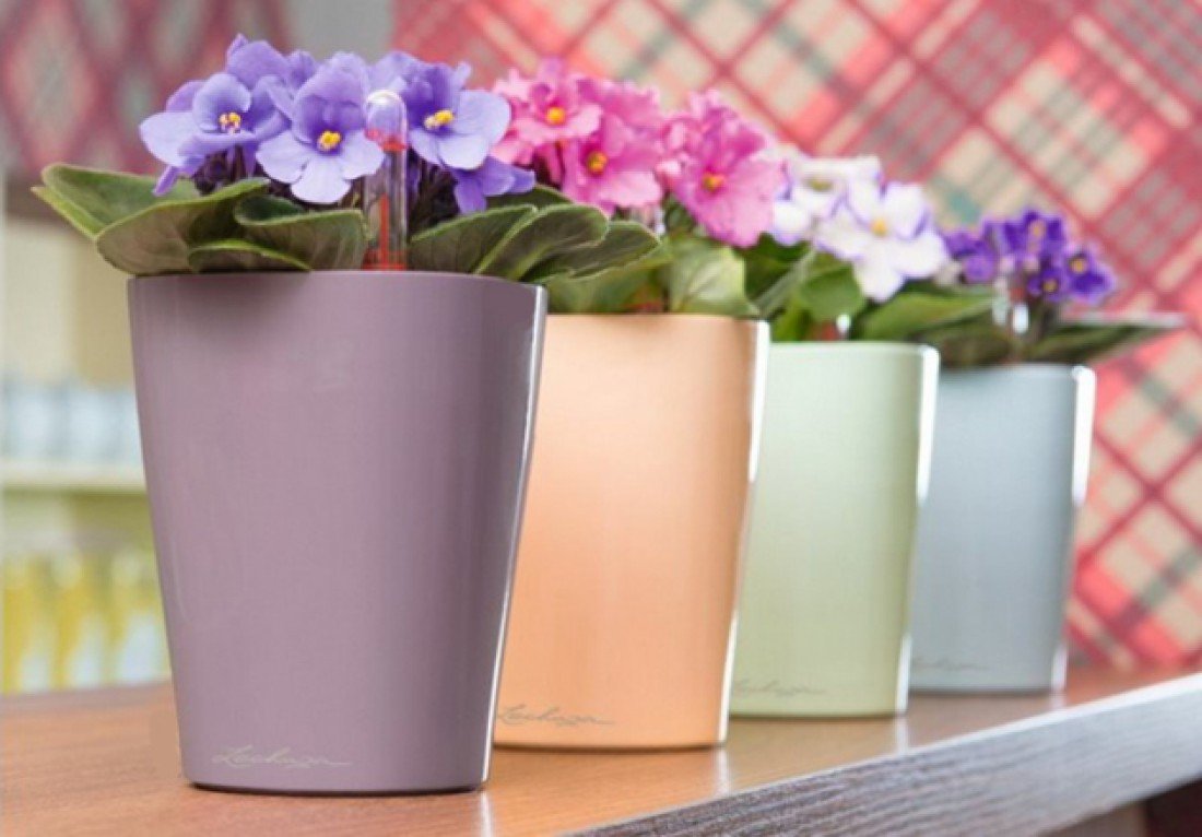 Вечера французского кино и вечеринки: ТОП мероприятий, куда пойти на выходных в Днепре 2