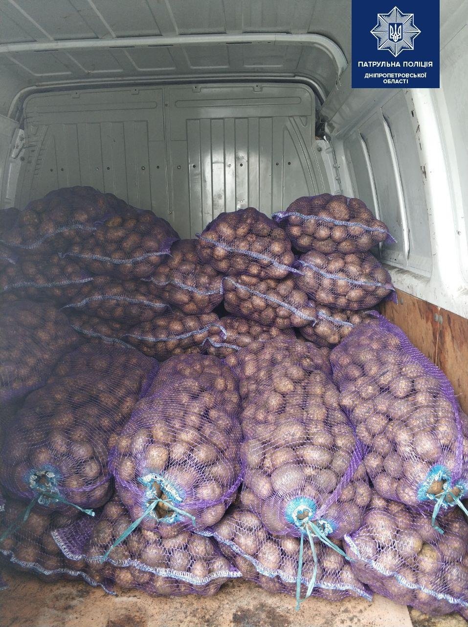 Символы на подъездах: как продавцы картофеля устроили панику в Днепре 1