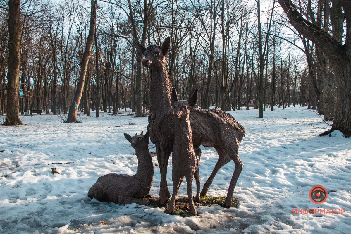 Оленята находятся в парке Шевченко Оленята находятся в парке Шевченко