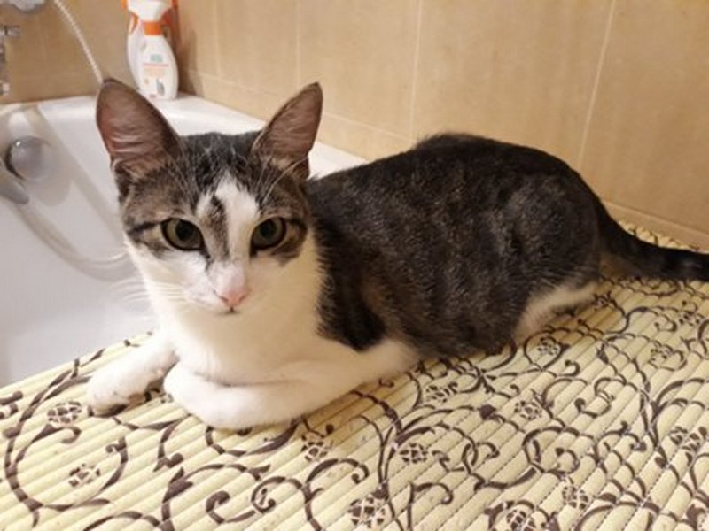 Одно сплошное ня :3 Одно сплошное ня :3