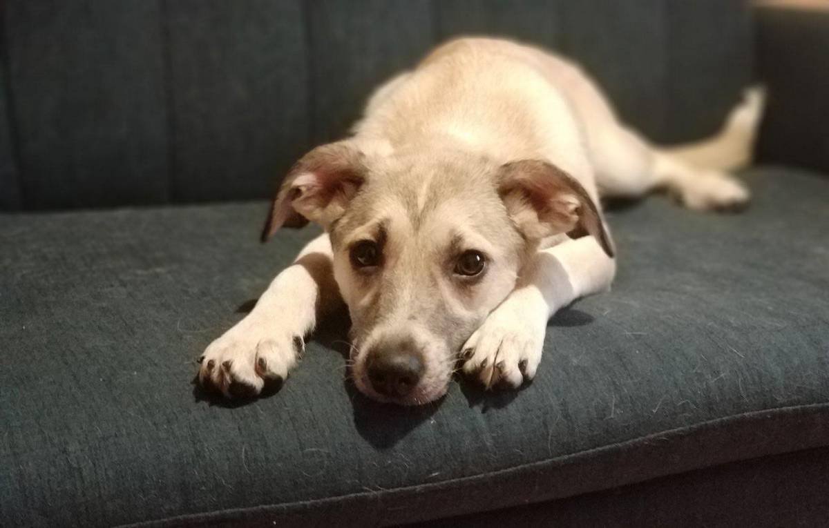 В этих глазах целая Вселенная В этих глазах целая Вселенная