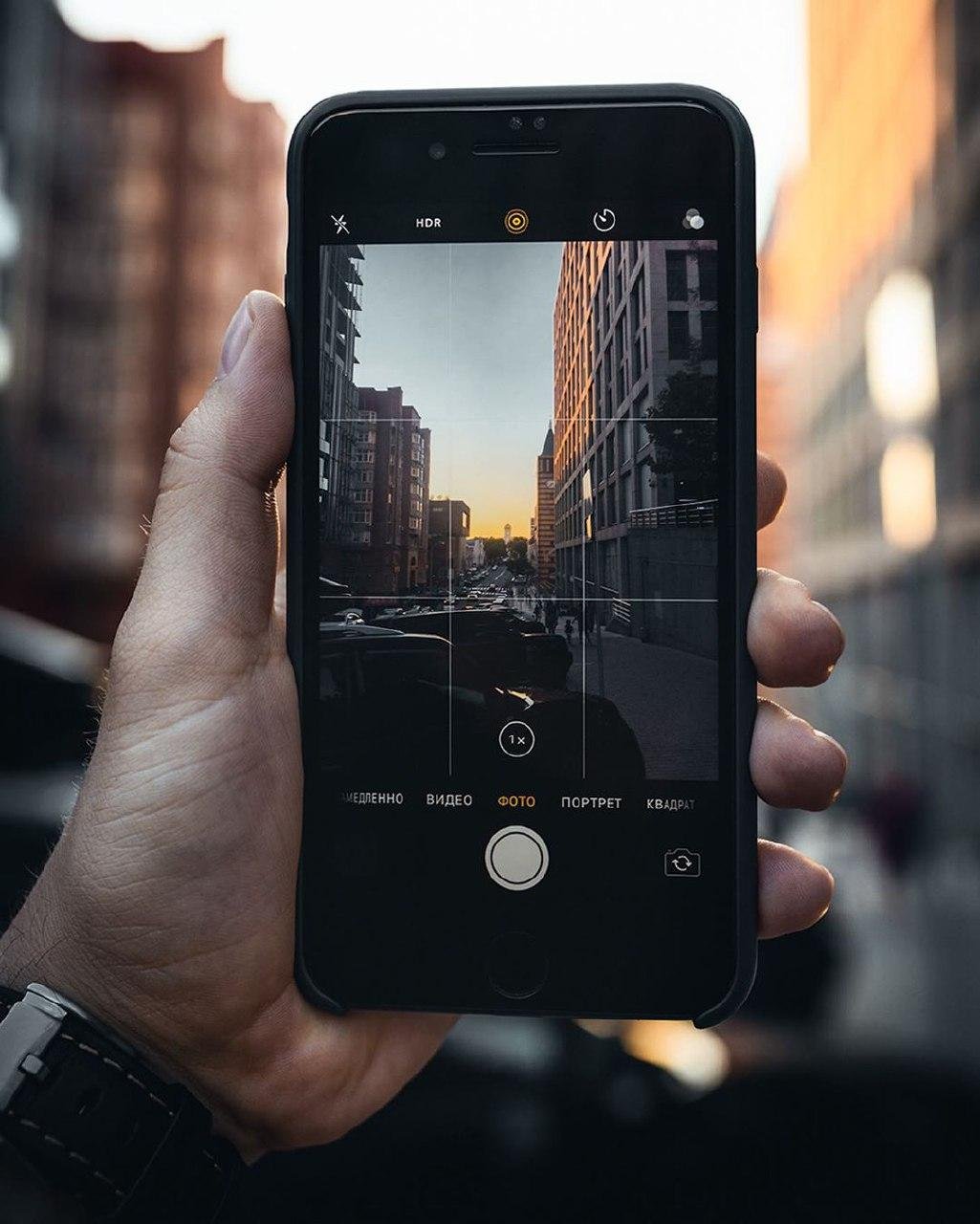 Фото: artemlazarev_ph Фото: artemlazarev_ph