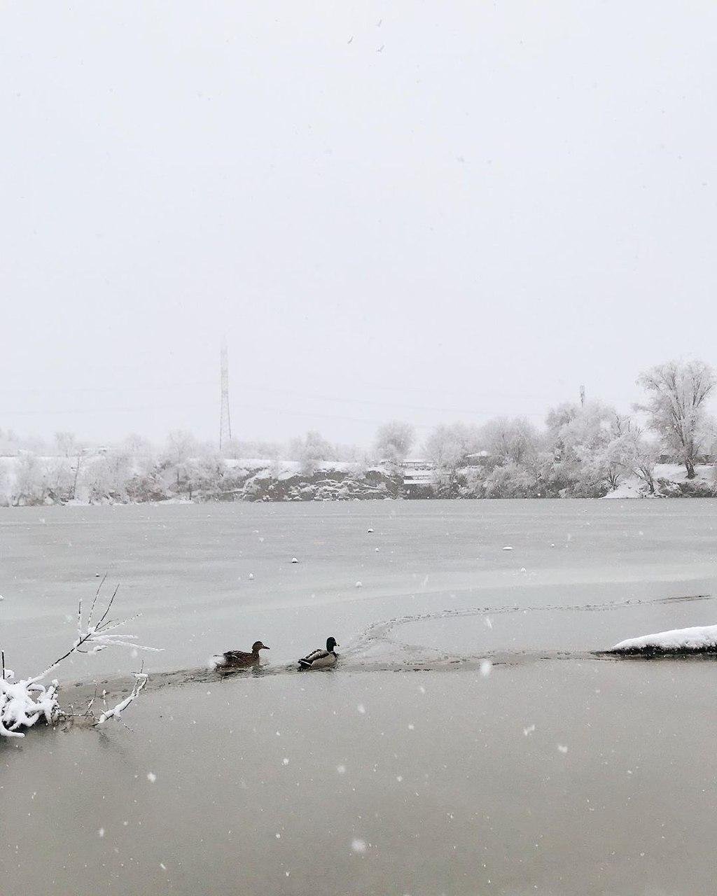 Фото: bize_liza Фото: bize_liza