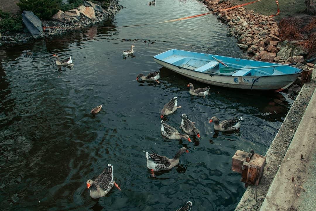 Фото: max.xtz Фото: max.xtz