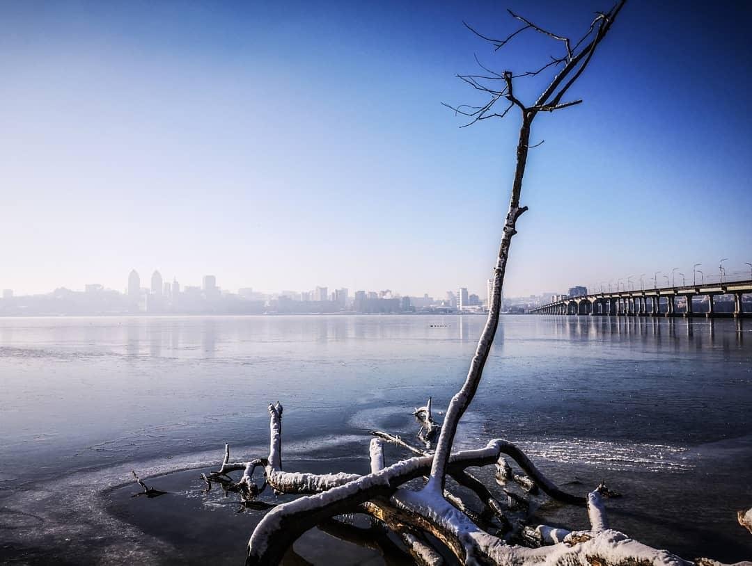 Фото: drkwal_photo Фото: drkwal_photo