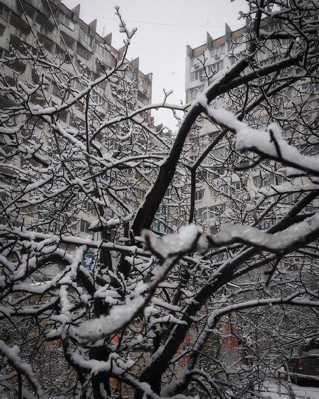 Фото: garackevich.irina Фото: garackevich.irina