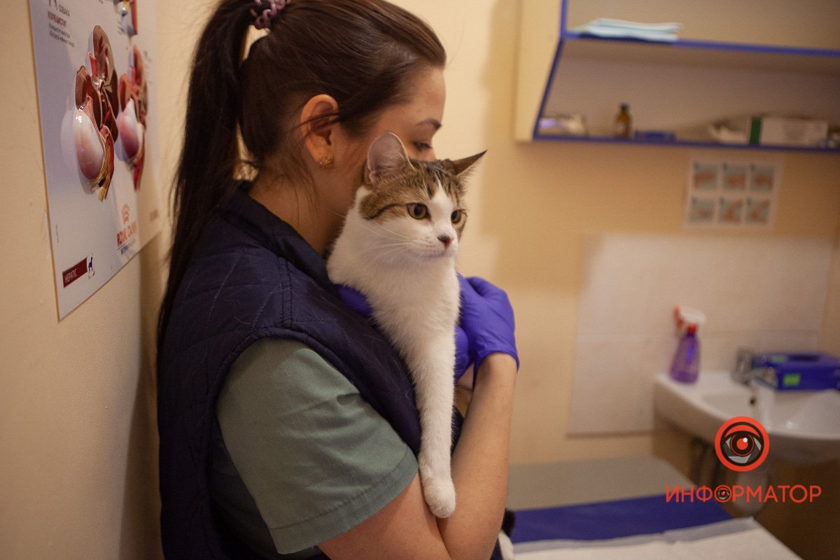 С малышом все в порядке