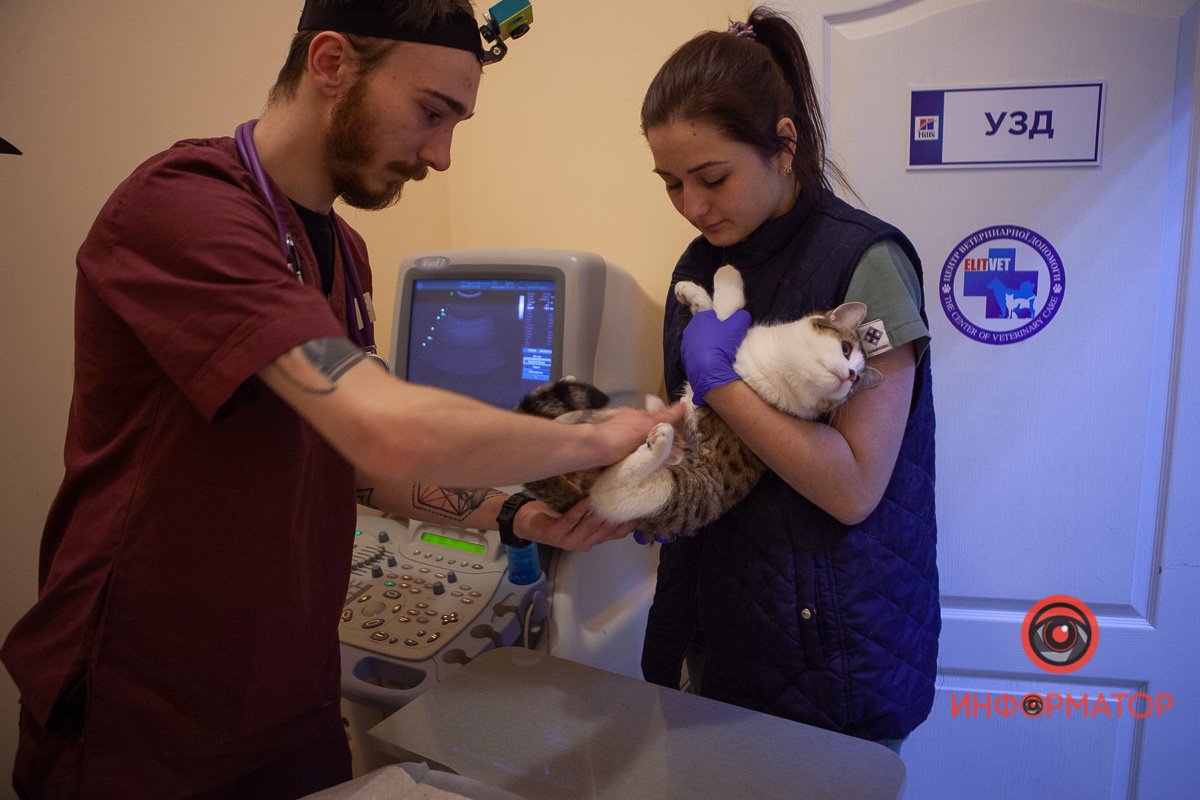 Которебенок все терпит