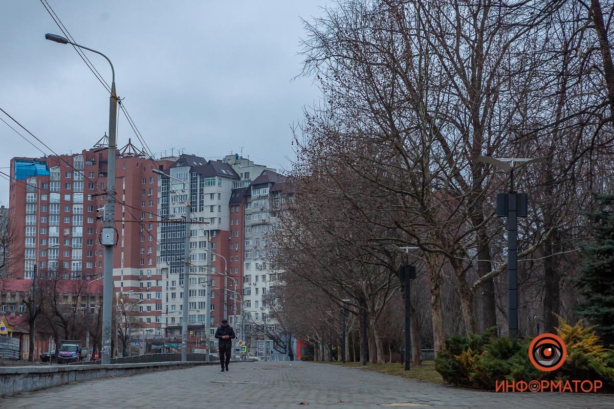 Утренние прогулки - особенные Утренние прогулки - особенные