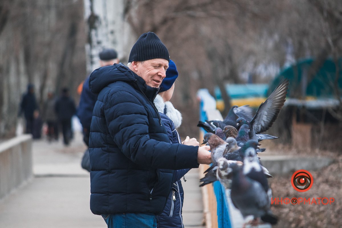 Пернатые друзья