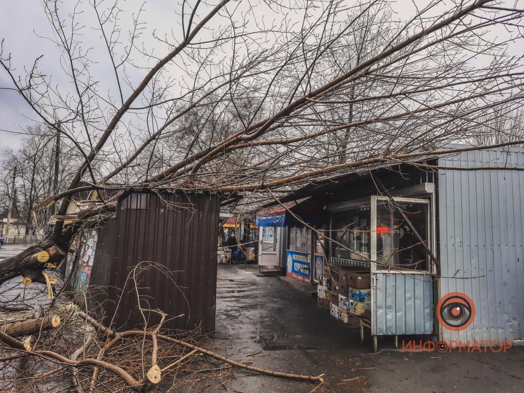 Ветки упали на торговые киоски Ветки упали на торговые киоски
