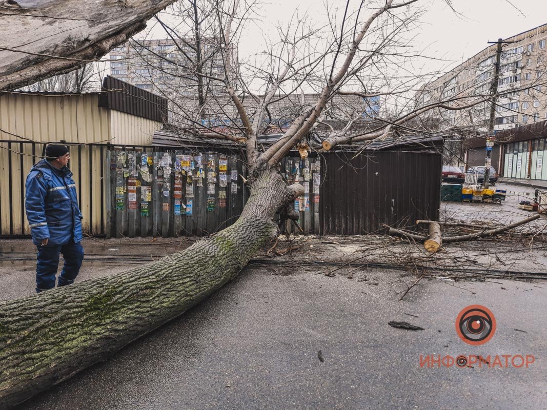 Учитывайте погодные условия и не забывайте смотреть по сторонам Учитывайте погодные условия и не забывайте смотреть по сторонам