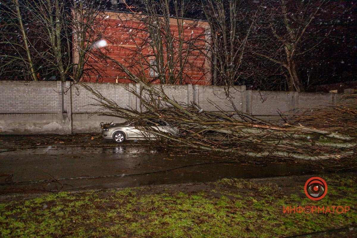 К счастью, никто не пострадал К счастью, никто не пострадал