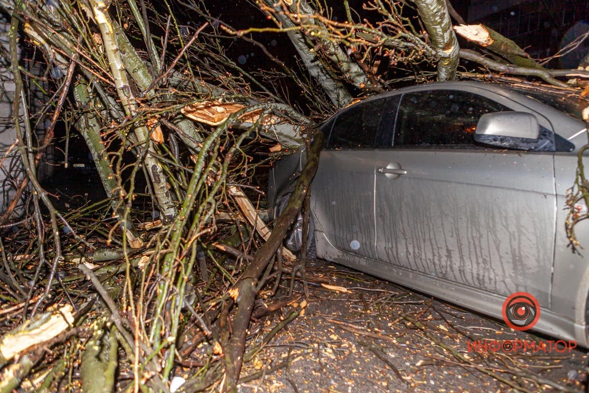 Движение на этом участке парализовалось Движение на этом участке парализовалось