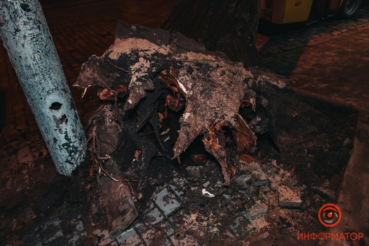 Вырвало с корнями