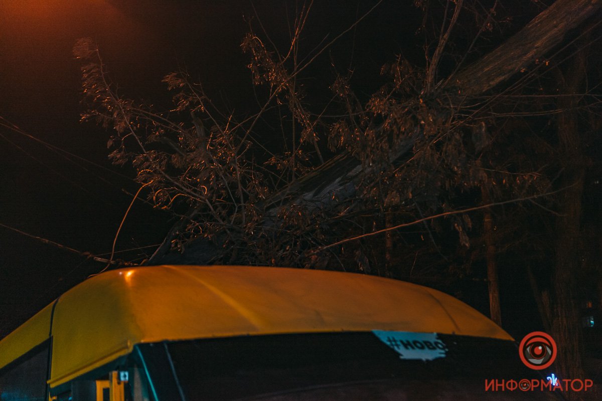 Ветки "легли" на троллейбусные провода