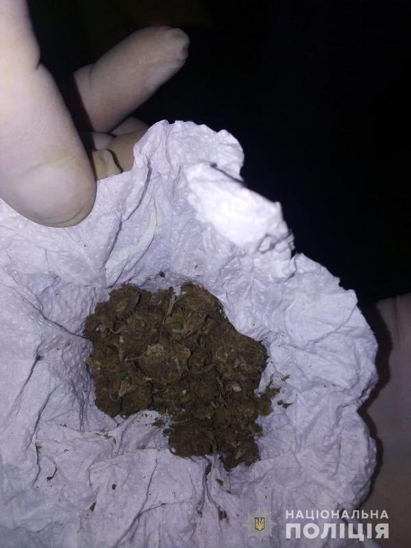 Вещество растительного происхождения Вещество растительного происхождения