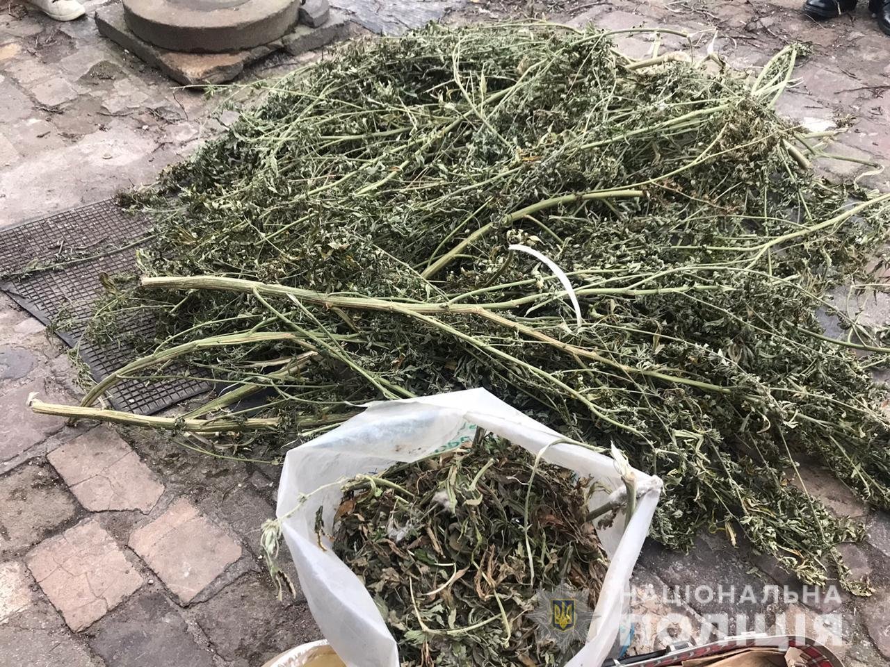 Общая стоимость марихуаны составляет около 2 миллионов гривен Общая стоимость марихуаны составляет около 2 миллионов гривен