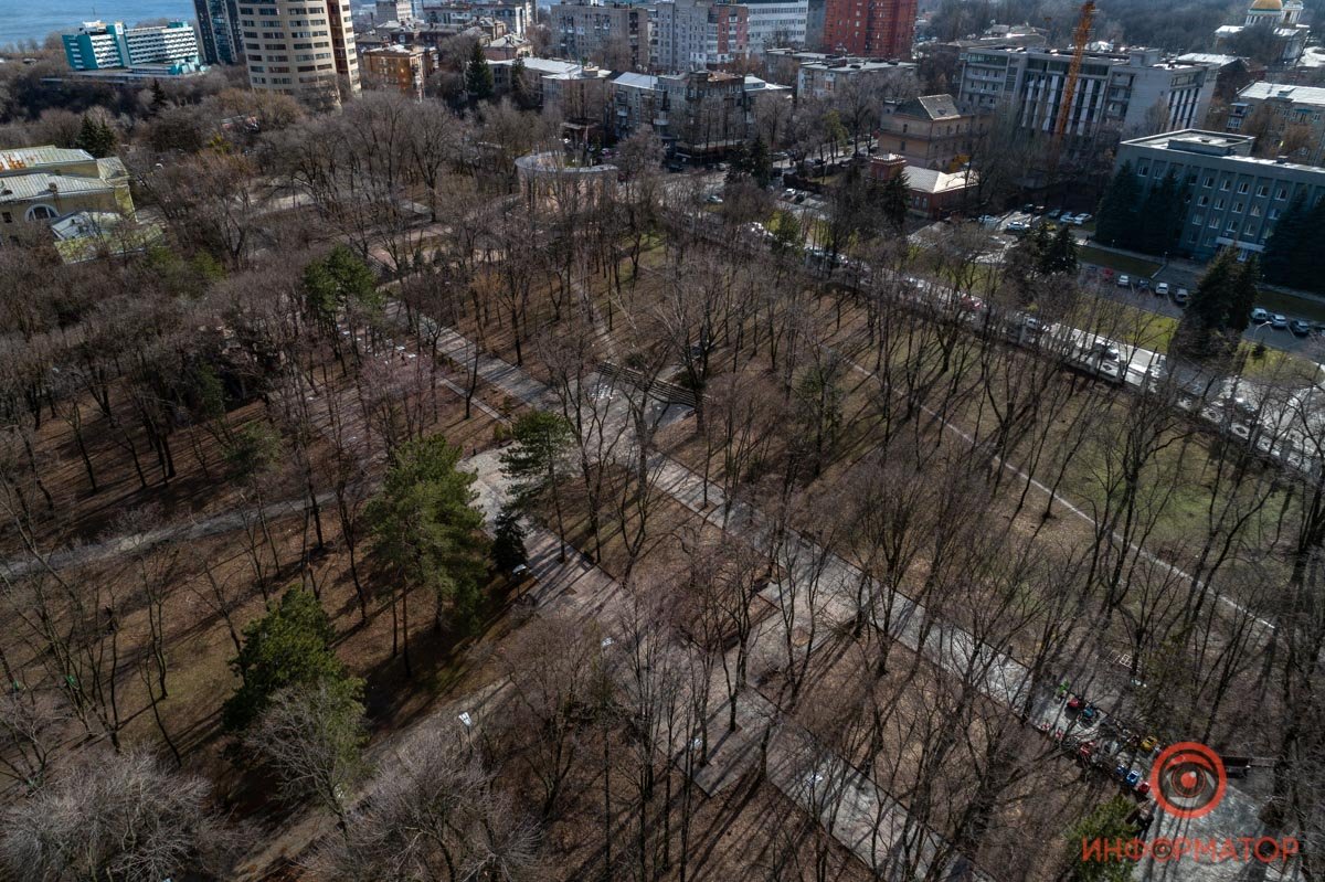 Совсем скоро земля укроется зеленым ковром Совсем скоро земля укроется зеленым ковром