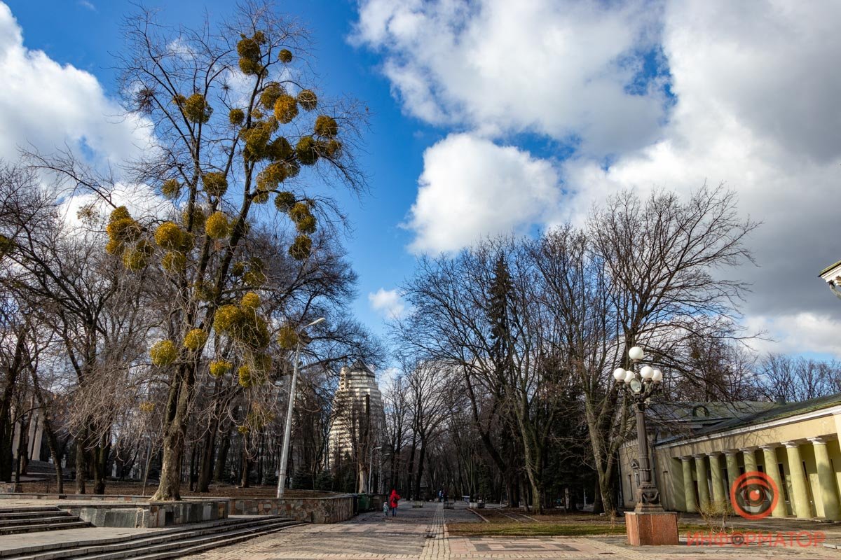 Тет-а-тет с собой Тет-а-тет с собой