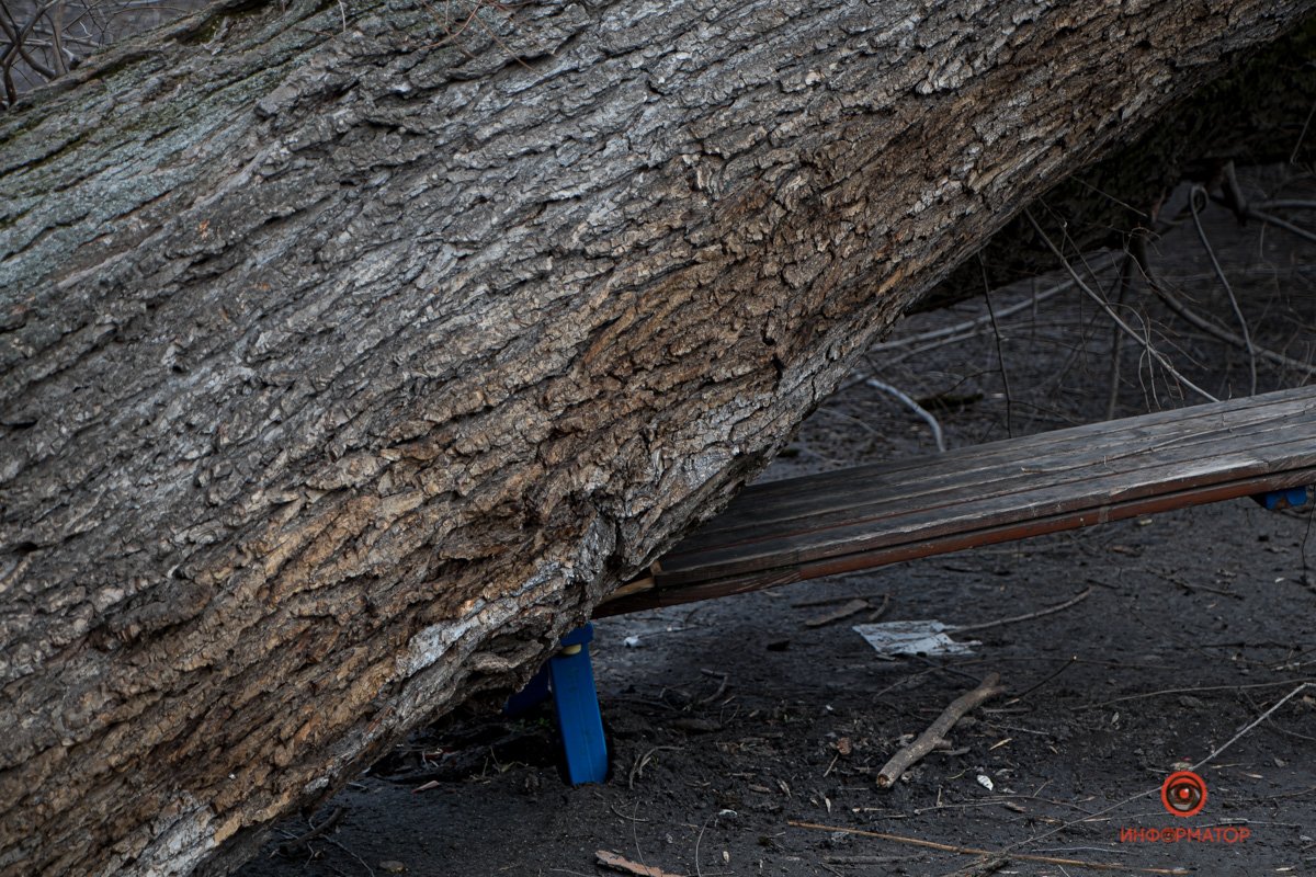 Дерево упало на лавочку, столы и тренажеры Дерево упало на лавочку, столы и тренажеры
