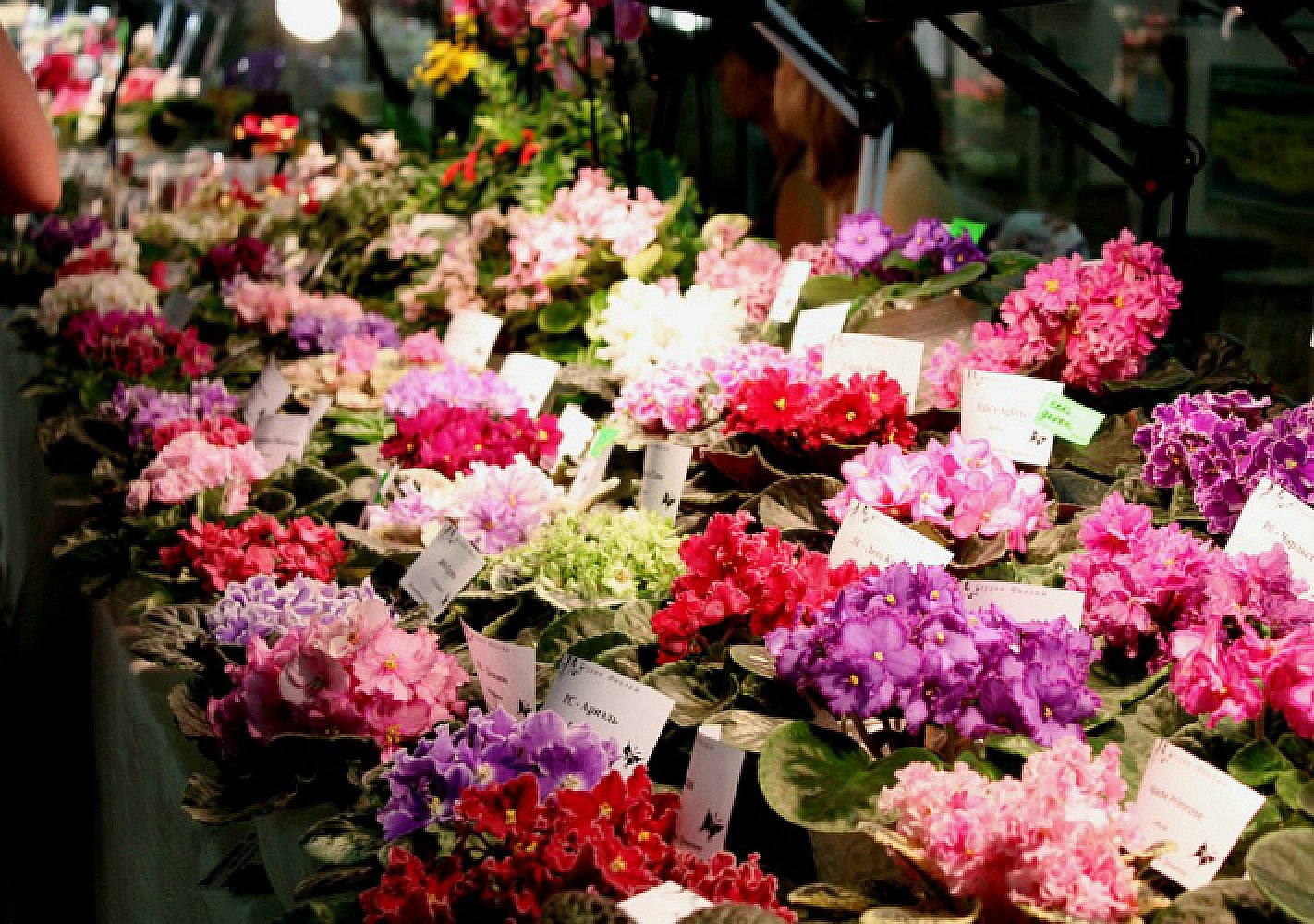 Лекция по Джокеру, танго и известные женщины: какие курсы пройдут в Днепре на следующей неделе 5