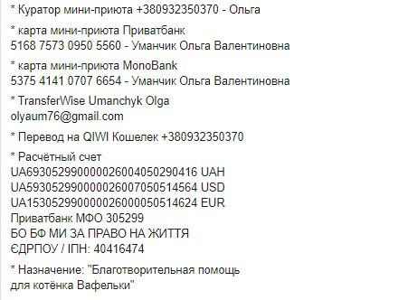 Каждая гривна важна